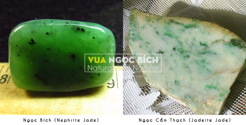 Ngọc Jadeite (Cẩm Thạch) và Ngọc Nephrite (Ngọc Bích)