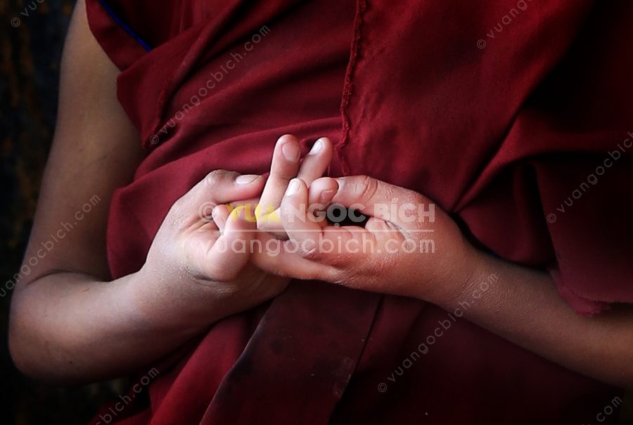 Đi không há lẽ, trở về không? 2 Đi không há lẽ, trở về không? 1