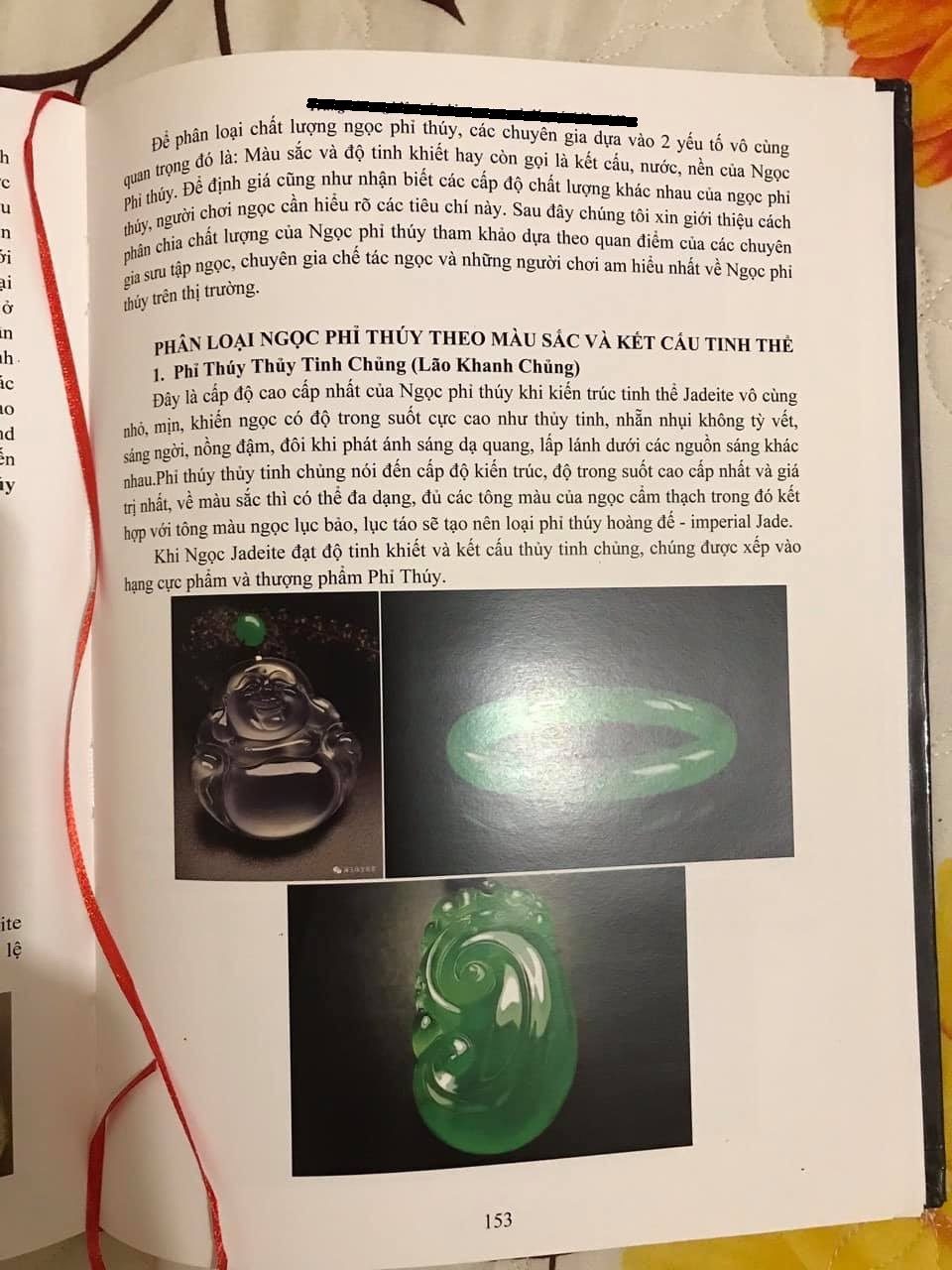 Hình minh họa Ngọc trong sách vở - 2