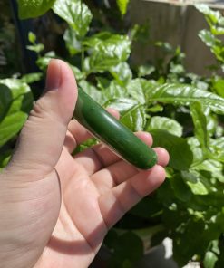 Vòng Tay Ngọc Bích Bản Liền Khối VIP Ni 54 (VNB-VT261) 27 Vòng Tay Ngọc Bích Bản Liền Khối VIP Ni 54 (VNB-VT261)