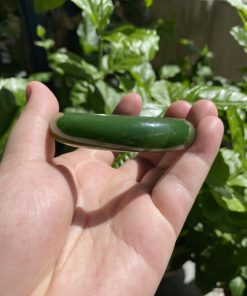 Vòng Tay Ngọc Bích Bản Liền Khối VIP Ni 54 (VNB-VT261) 25 Vòng Tay Ngọc Bích Bản Liền Khối VIP Ni 54 (VNB-VT261)