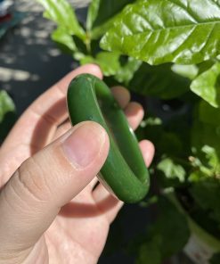 Vòng Tay Ngọc Bích Bản Liền Khối VIP Ni 54 (VNB-VT261) 21 Vòng Tay Ngọc Bích Bản Liền Khối VIP Ni 54 (VNB-VT261)