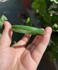 Vòng Tay Ngọc Bích Bản Liền Khối VIP Ni 55 (VNB-VT260)