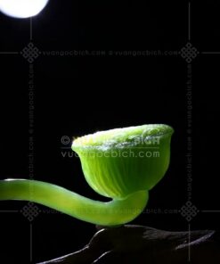 Trâm Cài Tóc Ngọc Bích Sen (VNB-VPPT951)