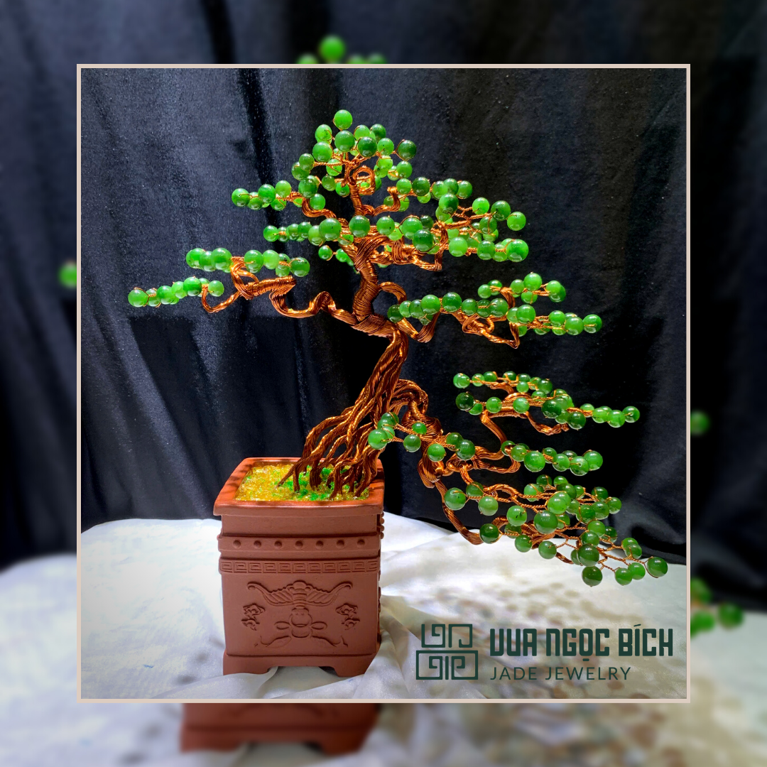 NGỌC DƯỠNG ĐẠO - TRẠCH DƯỠNG TÂM 2 Cây Tài Lộc Ngọc Bích Canada Thiên Nhiên